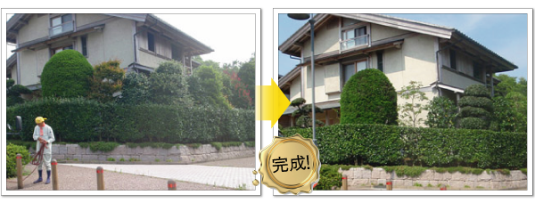 個人庭の管理-神奈川で造園、エクステリア工事なら鈴木造園にお任せ下さい。造園、植栽、神奈川・東京の庭施工、坪庭・垣根施工